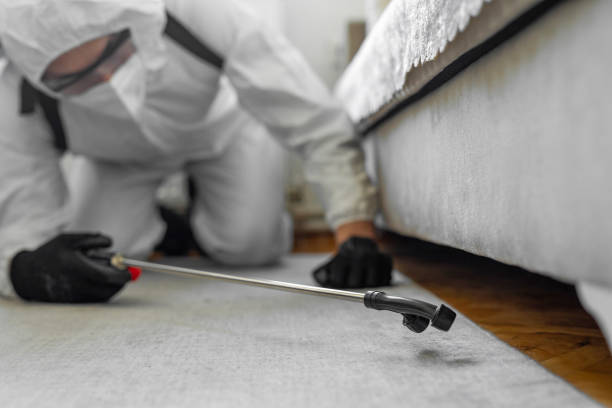 Professional Bed Bug Control technician working in Albany, NY
