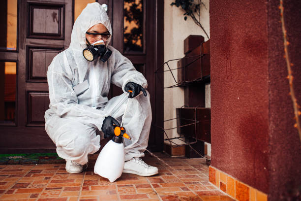 Reliable Bed Bug Control contractor in Albany, NY by Nex Pest Control